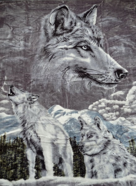 Wolf / Silberwolf