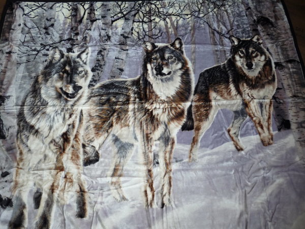 Wolf / Wölfe